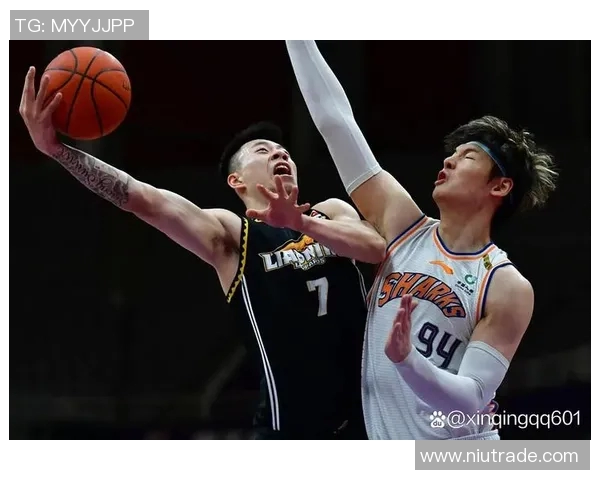 辽宁队发布选秀名单,球迷热议新赛季阵容配置